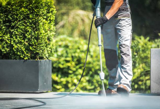Best Gutter Cleaning  in Mendenhall, MS